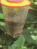 Armadilha Ecológica para Captura de Moscas e Mosquitos